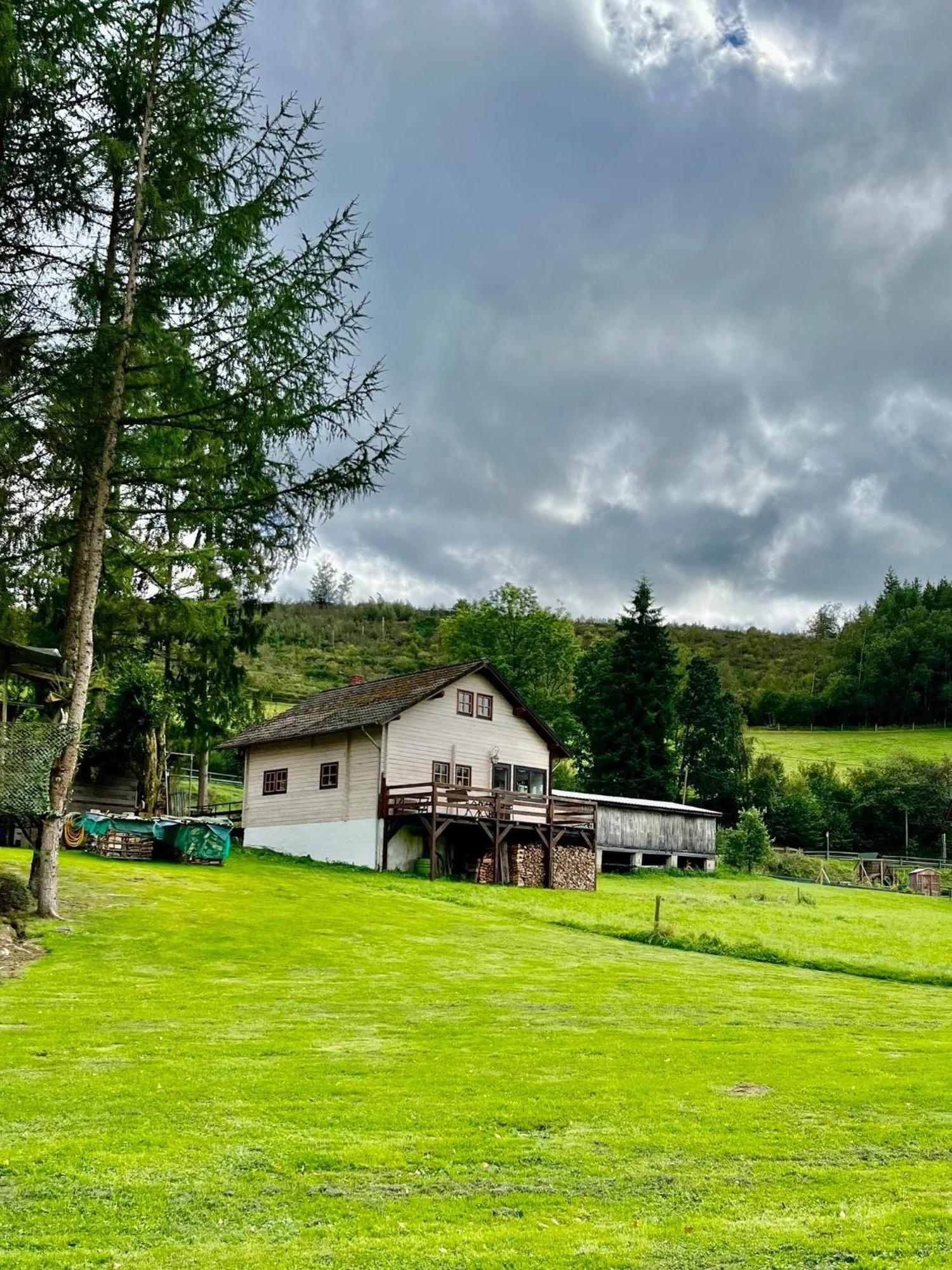 Vila Blockhaus Ourtal Winterspelt Exteriér fotografie